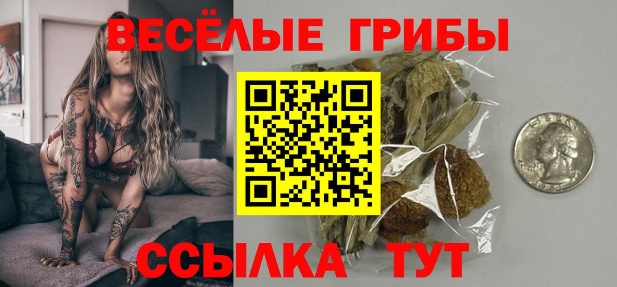 Одинцово  Псилоцибиновые грибы GOLDEN TEACHER  даркнет сайт  Вход с VPN 